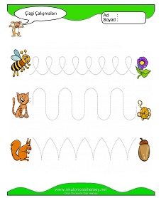 Çizgi Çalışma Sayfaları